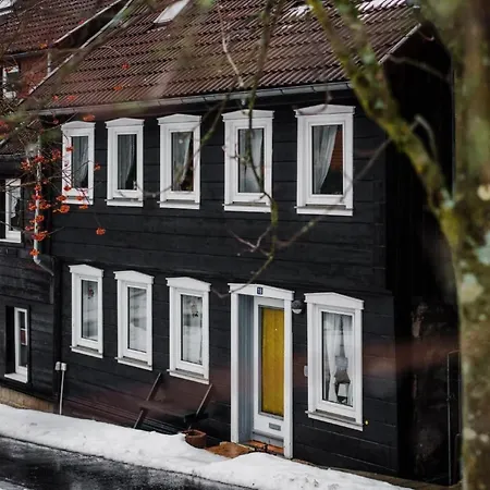 Ferienhaus Fh St- Andreasberg By Interhome *