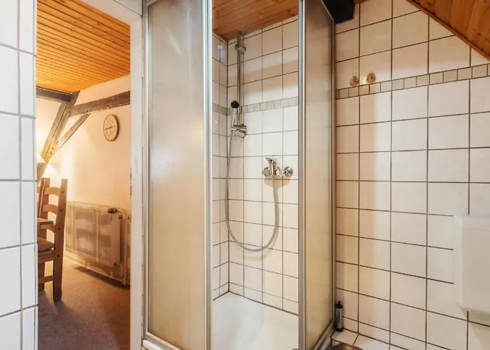 Fh St- Andreasberg By Interhome Holiday home